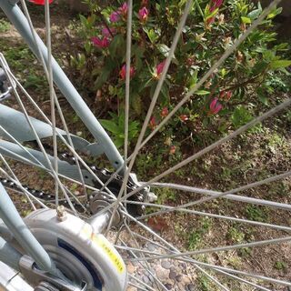 自転車　ブルー