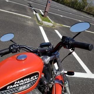 スポーツスター883R  リジット キャブ