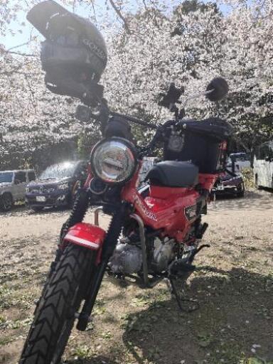 入手困難！ハンターカブCT125自賠責5年！