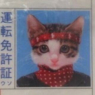中古なめんなよが無料 格安で買える ジモティー 中古なめんなよが無料 格安で買える ジモティー