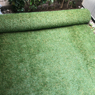 芝生の中古が安い！激安で譲ります・無料であげます(96ページ目  