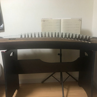 中国からの半箏