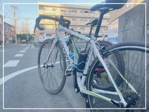 代理出品 Cannondale　Synapse　women　51