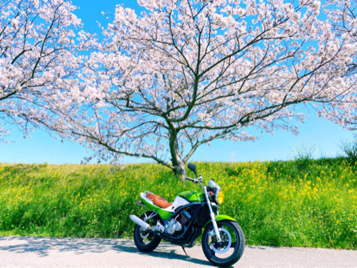 バリオス ZR250A 前期 カスタム多数！