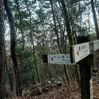 4月3日(土)　中山ハイキングへいこう！