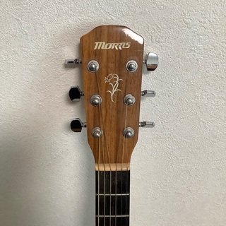 モーリス morris M-12 II TS アコースティックギター 中古