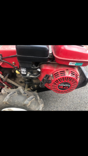 値下げ！家庭菜園にどうでしょう