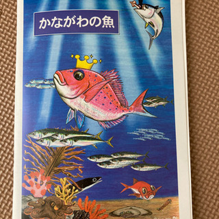 かながわの魚　60ページ冊子