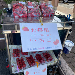 イチゴ200円～販売★お得用！