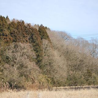 鉾田市汲上の山林1636坪の画像