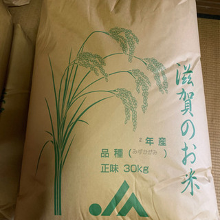 みずかがみ　玄米