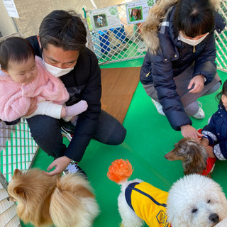 ４／２５(日) 白河にて犬猫イベントのアルバイトさん募集 日給１万円