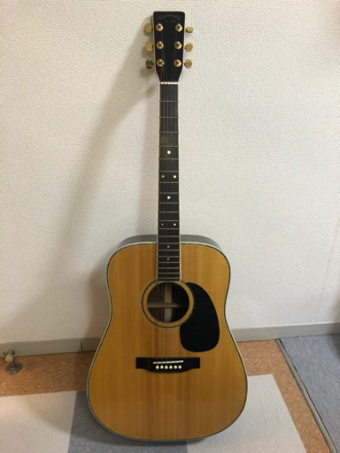 ギター　タカミネ　配送可