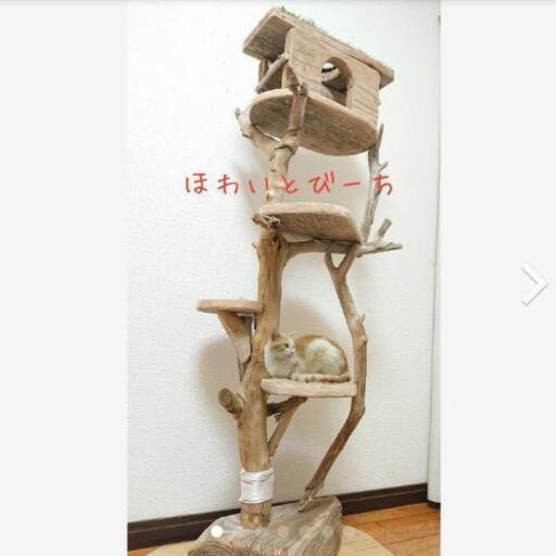 流木キャットタワー | juniorssantperemd.com
