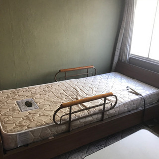 電動ベット(美品)