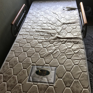 電動ベット(美品)