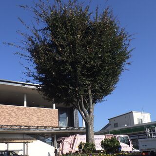 植木屋 正社員の求人情報 ジモティー