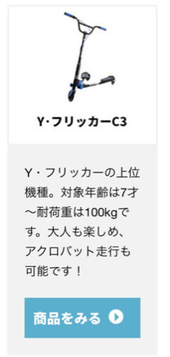 yフリッカー C3 大人用 子供用 2人乗りも