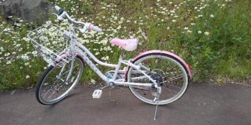 [再々値下げ] ブリヂストン ワイルドベリー 22型 5段変速付 自転車 超美品(10回程度乗車)