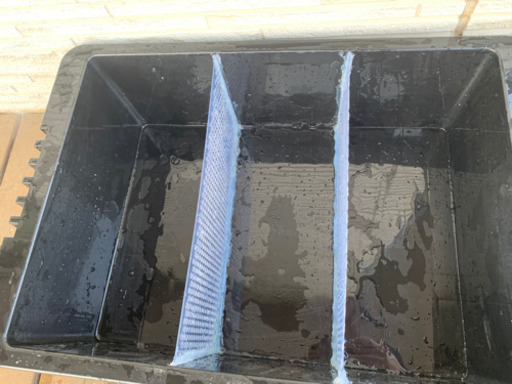 最終値下げ どんぐり めだか Nvボックス 22仕切り加工メダカ魚 どんぐり めだか 宝積寺のその他の中古あげます 譲ります ジモティーで不用品の処分