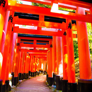 伏見神寶神社1000本鳥居⛩いっしょに登頂してみませんか？？😁