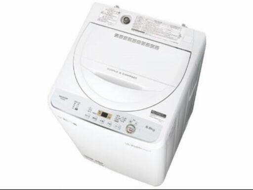 2019年製 SHARP 5.5kg 洗濯機
