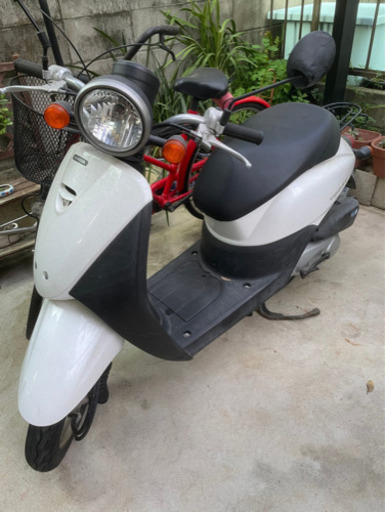HONDA♡トゥディ原付