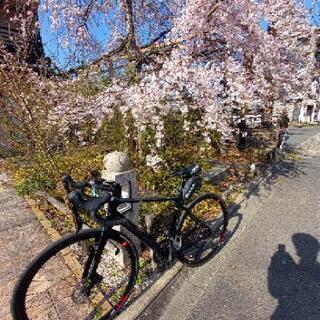 ロードバイク初心者🔰ですが、一緒に走れる仲間探してます❗