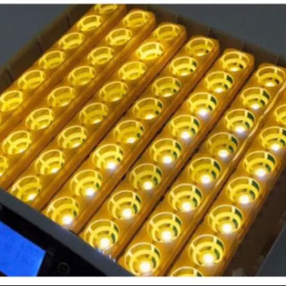 LED 鳥類専用孵卵器　孵化器　ふ化器　インキュベーター