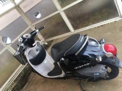 原付バイク　ホンダ　ジョルノ　中古