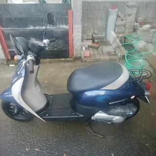 機関良好]HONDA Today F[通勤通学]