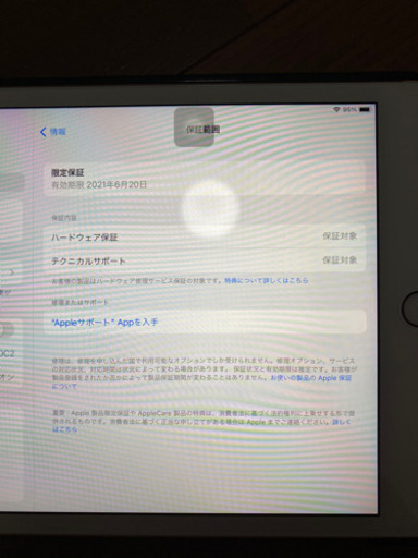 iPad mini 第五世代 WiFi 64G 金色