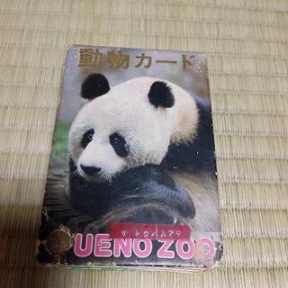 【ネット決済・配送可】上野動物園　動物カード