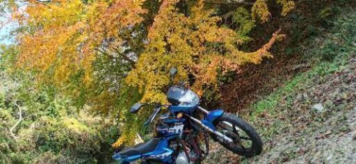値下げ再出品 125cc YAMAHA YBR125K 原付2種
