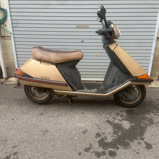 新車からワンオーナーのスペイシー50！