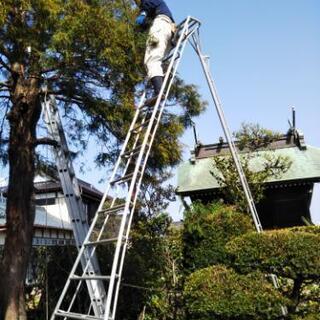 植木手入れします　剪定　草とり