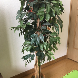 観葉植物　フェイクグリーン　値段交渉承ります。