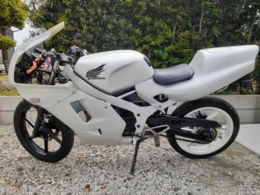 ns-1後期　【希少2サイクル】
