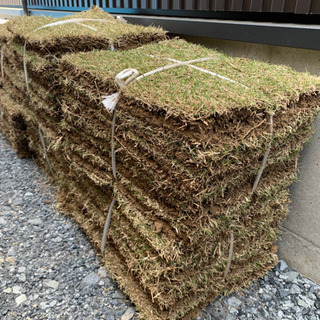 芝生の中古が安い！激安で譲ります・無料であげます(96ページ目  