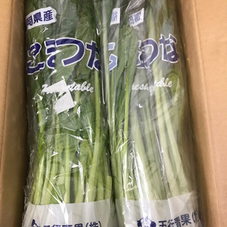 ◆完全売切！◆福岡県産小松菜1袋30円！◆