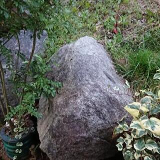 ❣️大きな石😬5枚目に良質の削岩した岩盤【重機によりGW明けに一...