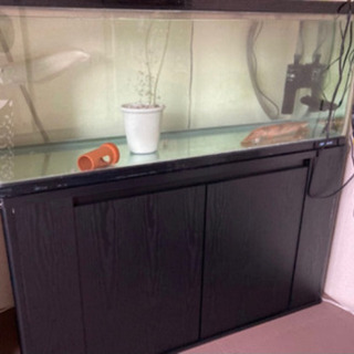（決まりました）120cm水槽＆水槽台(4/10締切) 決まりました）120cm水槽＆水槽台(4/10締切)