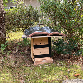 【ネット決済】ニホンミツバチの待ち箱