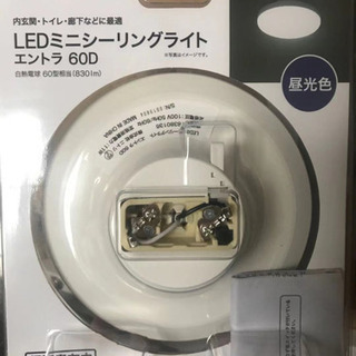 Ledミニシーリングライト　エントラ60D 現金手渡しでお願い致します