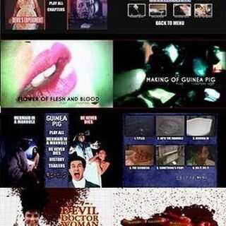 【受付終了】廃盤 ギニーピッグ 完全版 DVD 4枚組＋1枚 ホラー恐怖オカルト