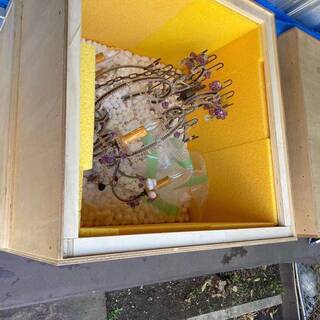 絵瀬戸 松葉文 茶碗 白洲正子好み 古美術 古道具 アンティーク