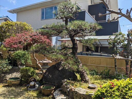 明るく風通しの良いお庭へ熟練の庭師が丁寧に仕上げます ガーデニングピュア 上牧のその他の無料広告 無料掲載の掲示板 ジモティー