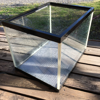 大型水槽ガラス⁈水槽