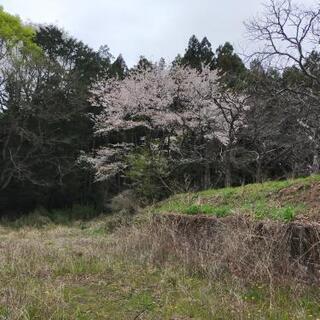 会員募集は、かぬまピッコロキャンプ場にお願いいたします。 - 鹿沼市