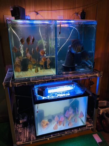 水槽・水槽台などいろいろ